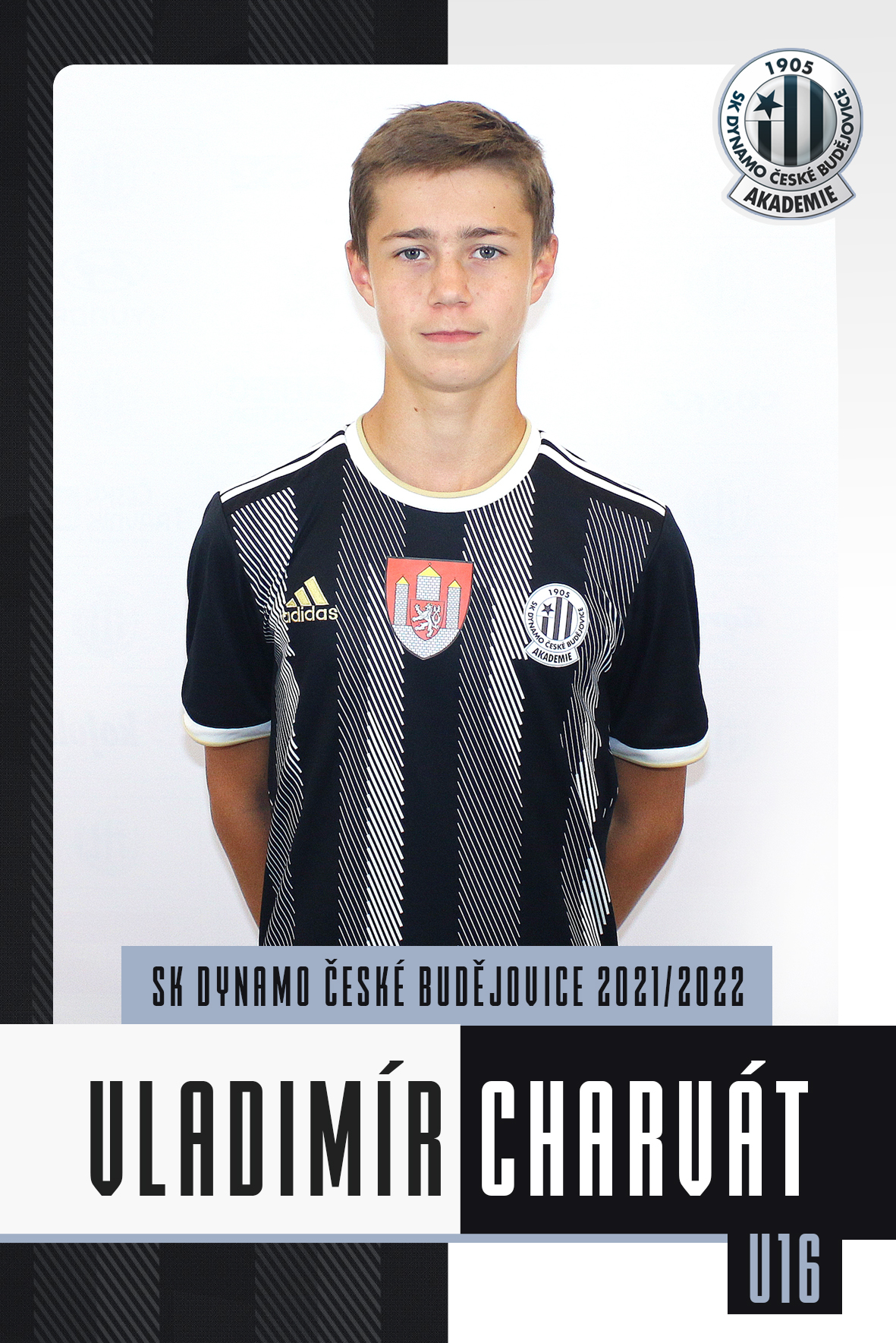 Charvt Vladimr