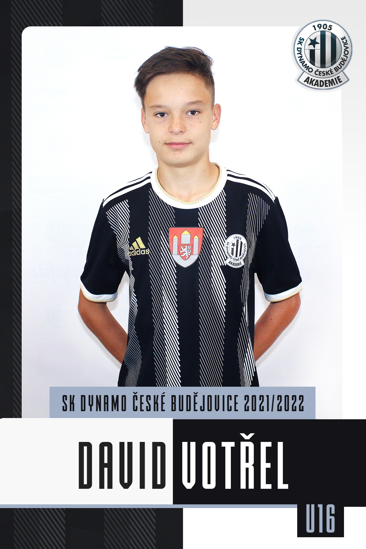 Votel David