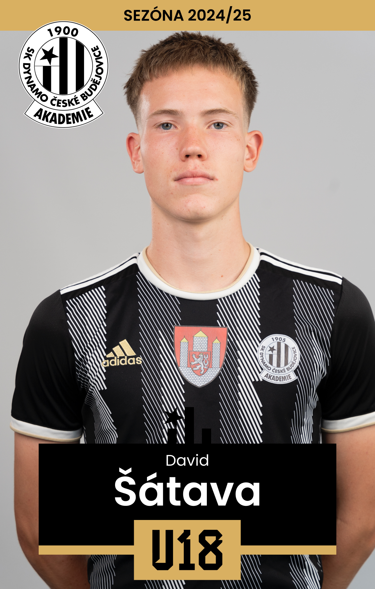 tava David