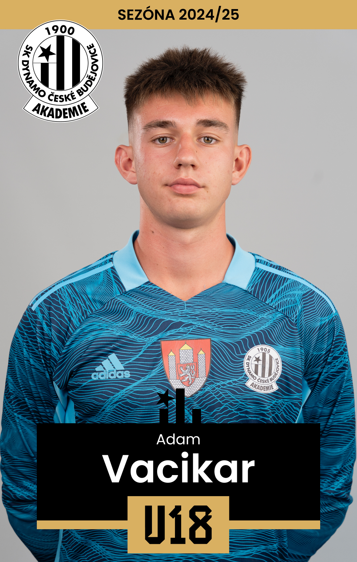 Vacikar Adam