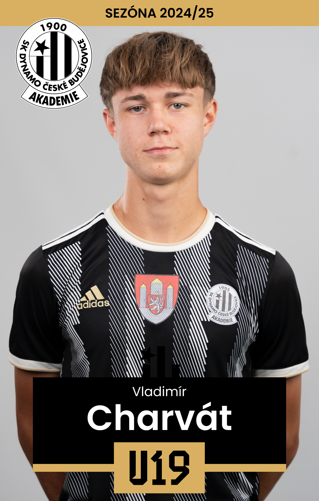 Charvt Vladimr
