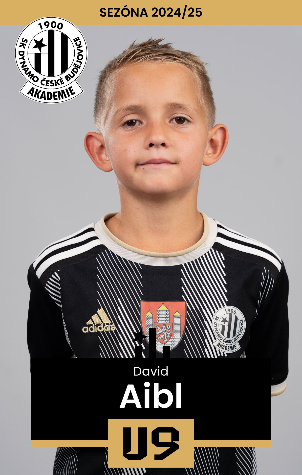 Aibl David